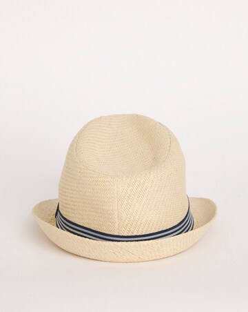Sun Hat/Trilby