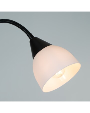 Dual Purpose Floor Lamp