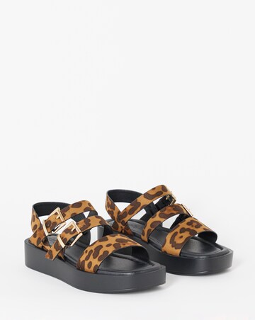 Hawk Multi Strap Buckle Sandals - Extra Wide Fit (EEE)