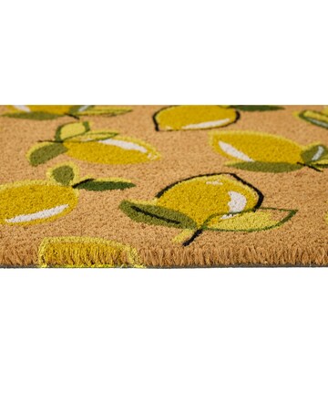 My Mat Lemons Coir Doormat
