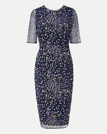 Phase Eight Aileena Embroidered Dress