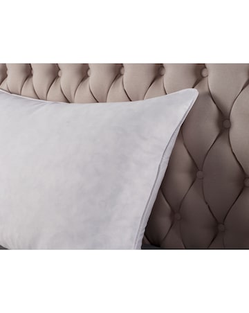 Hotel Collection Feather & Down Pack of 2 Pillows