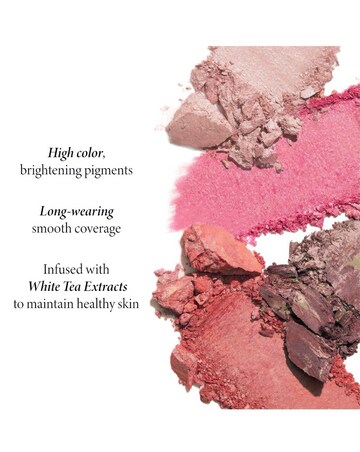Laura Geller Baked Blush-n-Brighten Marbleized Blush - Apricot Berry