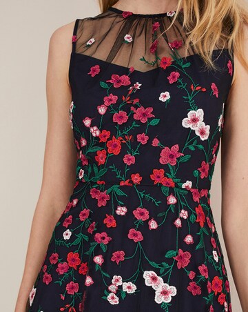 Phase Eight Sloane Mesh Ditsy Floral Dress
