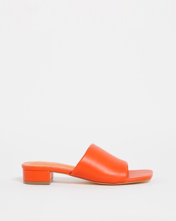 Low Heeled Mule EEE Fit