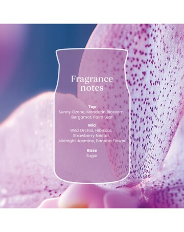 Yankee Candle Signature Large Wild Orchid