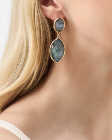 Accessorize Statement Resin Stone Drop Earrings