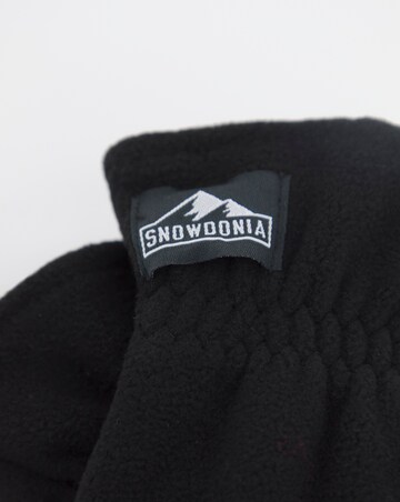Snowdonia Gloves