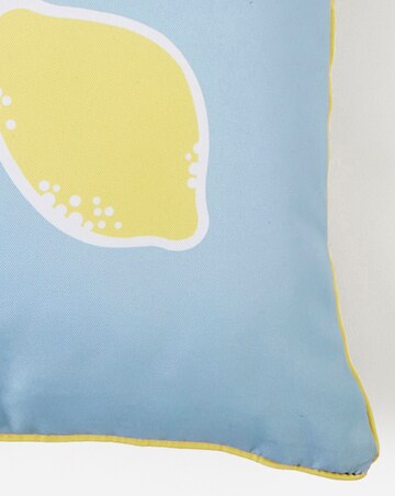 Citrina Outdoor Cushon