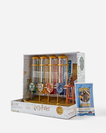 Harry Potter House Points Counter Display