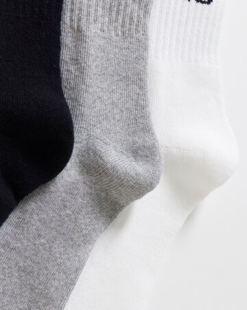 VANS Classic Check Crew 3Pk Socks