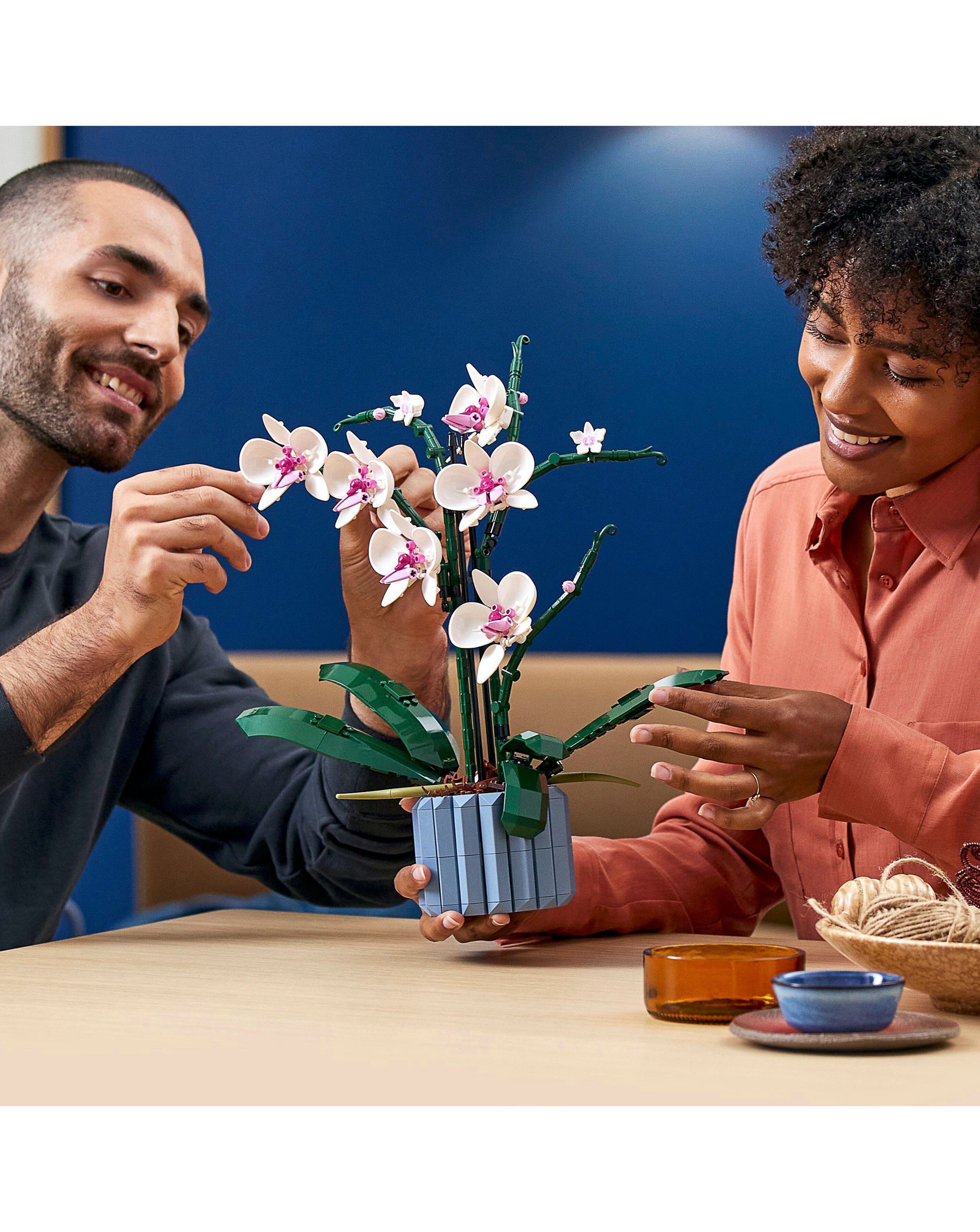 LEGO Botanicals Orchid 10311 | Ambrose Wilson