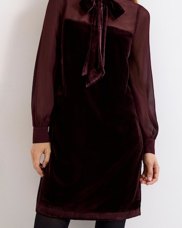 Phase Eight Vinnie Velvet Pussy Bow Dress