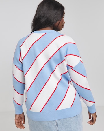 Blue and White Diagonal Stripe Jumper