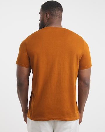 Pure Cotton Crew Neck T-shirt Long Length- Rust