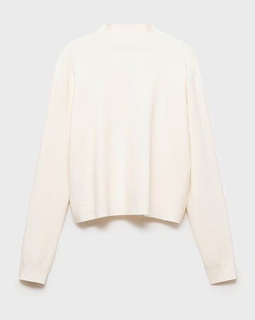Mango Tentacio High Neck Sweater