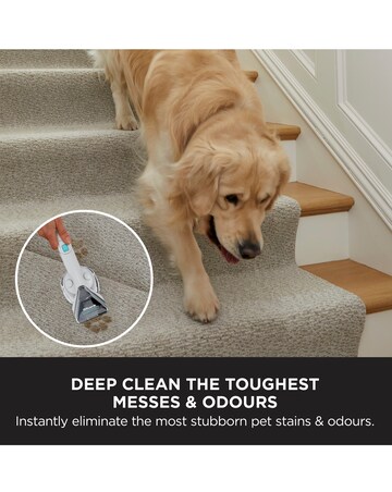 Shark CarpetXpert with Stain Striker EX200UK