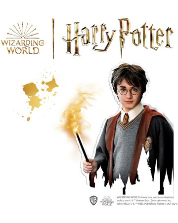 SES Harry Potter - Shrink Magic Charm Bracelets