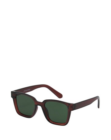 Jack & Jones Pontus Sunglasses - Brown