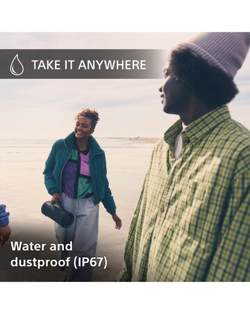 Sony SRSXG300 Portable Speaker - Grey