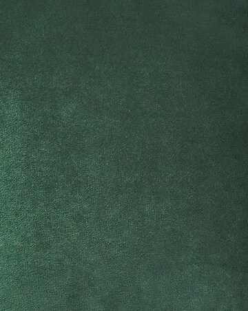Velvet Cushion