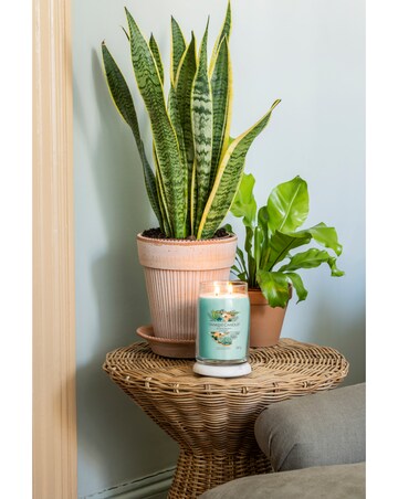 Yankee Candle Signature Large Jar Aloe & Agave
