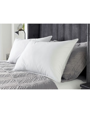 Hotel Collection Feather & Down Pack of 2 Pillows
