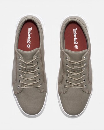 Timberland Seneca Bay Low Lace Sneaker - Light Taupe