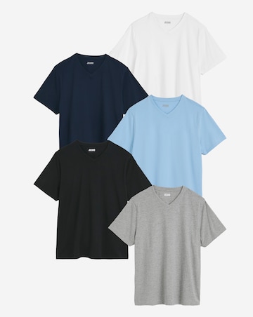 5 Pack Multi V Neck T-Shirts Long
