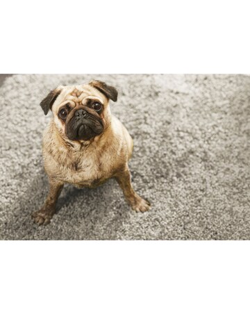 Buddy Washable & Stain Resistant Rug