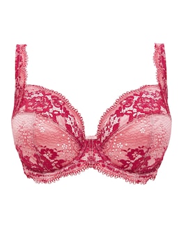 Contemporary Lace Padded Plunge Bra