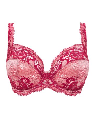 Contemporary Lace Padded Plunge Bra
