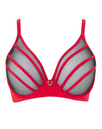 Simply Be Sexy Sheer Mesh Plunge Bra