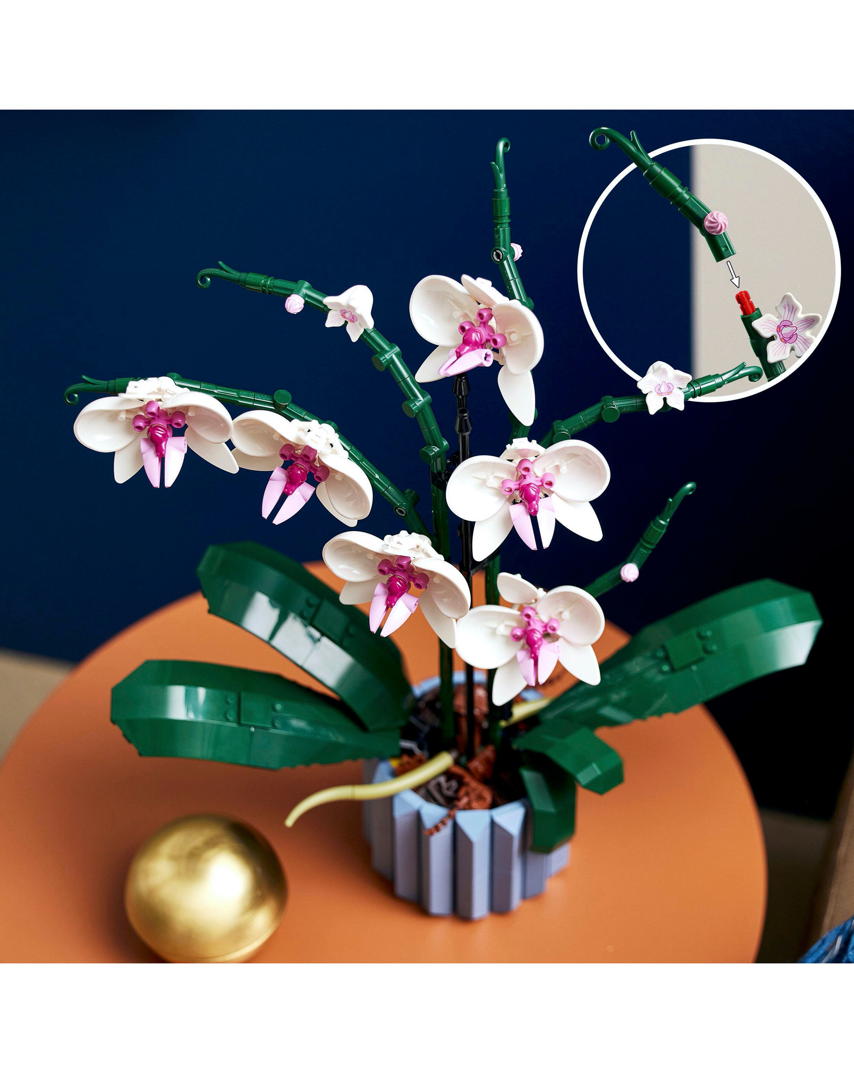 LEGO Botanicals Orchid 10311 | Ambrose Wilson