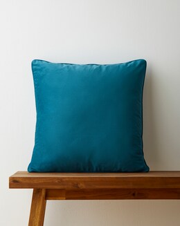 Velvet Cushion