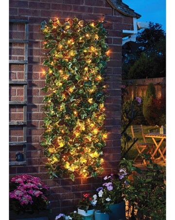 Solar Inlit IvyTrellis