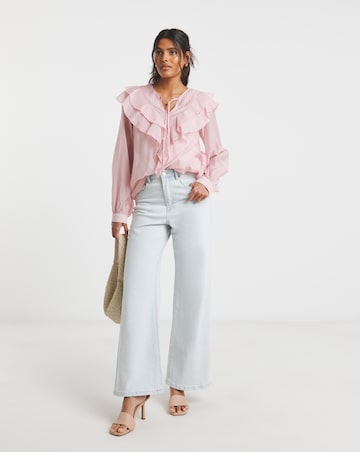 Blush Ruffle Sheer V Neck Blouse with Tie Neck Detailing
