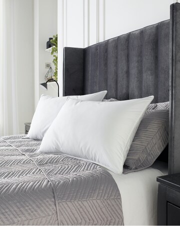 Hotel Collection Feather & Down Pack of 2 Pillows