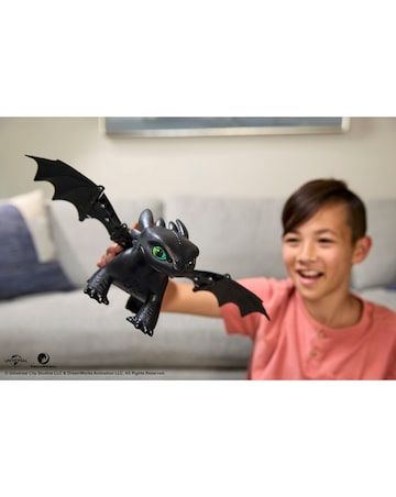 DreamWorks How to Train Your Dragon Tame and Train Interactive Toothless