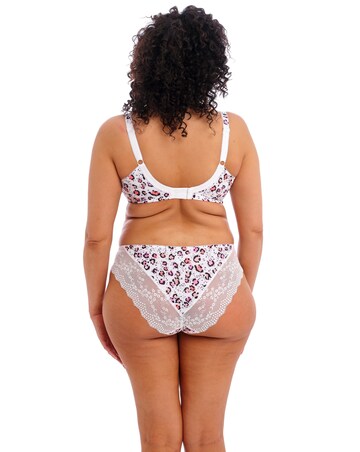 Elomi Lucie High Leg Knicker Rumble