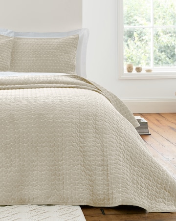 Bianca Attica Velvet Embroidered Bedspread