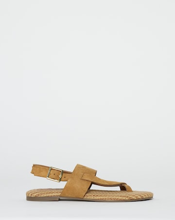 Catalina Suede Toe Post Sandals - Wide Fit (E)
