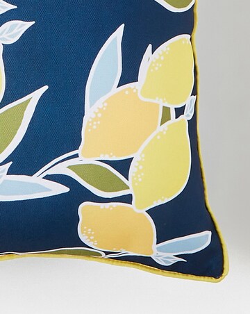 Citrina Outdoor Cushon