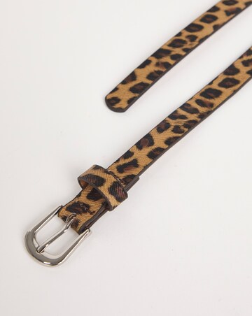 Multi 3 Pack Belts