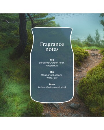 Yankee Candle Signature Large Bayside Cedar