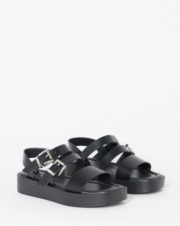 Hawk Multi Strap Buckle Sandals - Wide Fit (E)