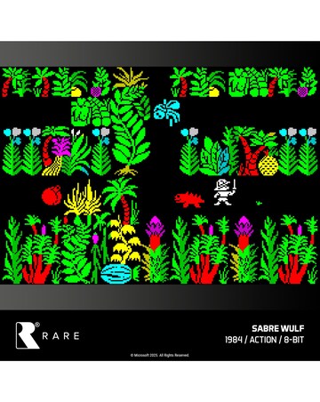 Rare Collection 1 (Evercade)