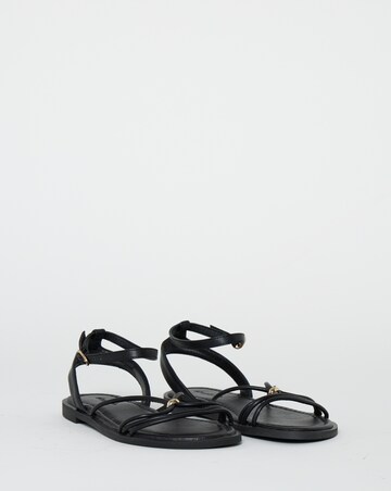 Toni Strappy Hardware Detail Flat Sandals - Wide Fit (E)