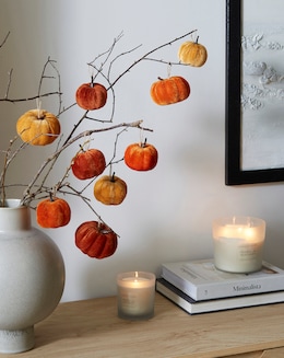 Gisela Graham Halloween Velvet Mini Pumpkin Decorations