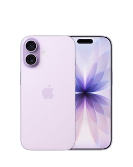 Apple iPhone 17 256GB - Steel Grey